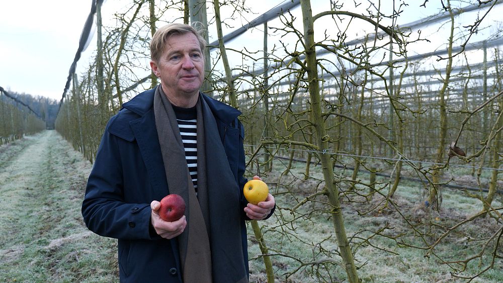 The fight for Europe’s fruit: How orchards are adapting to warmer winters