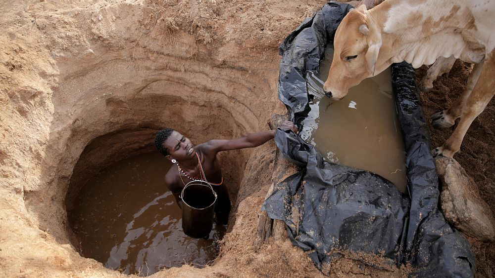 Running out of water is one of the biggest risks facing the world. What can we do about it?