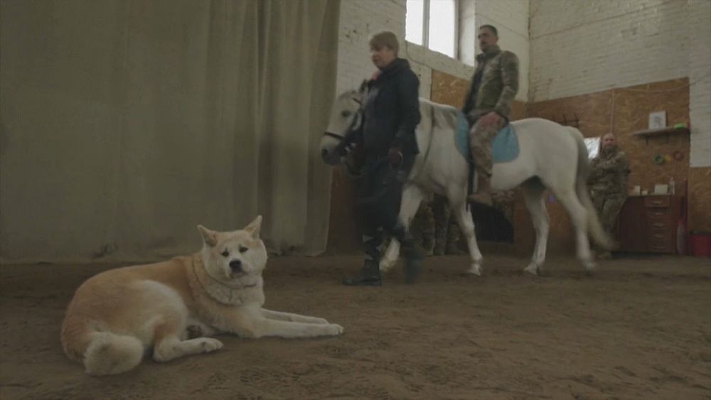 Ukrainian soldiers outside Kyiv destress with horse therapy