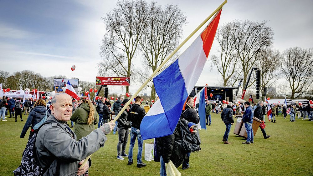 Dutch farmer protests: Emissions regulations lead to rise of new political movement