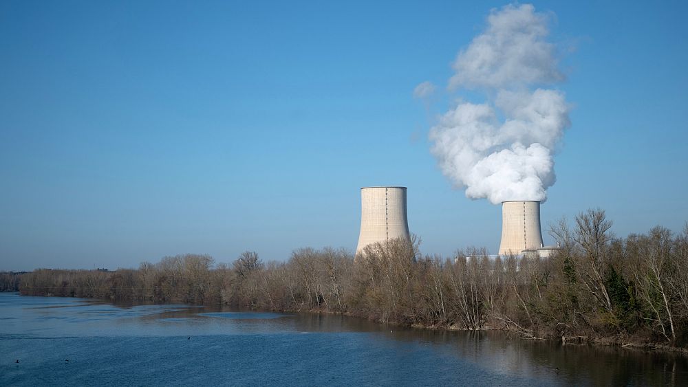 Europe is divided on nuclear power: Which countries are for and against it?
